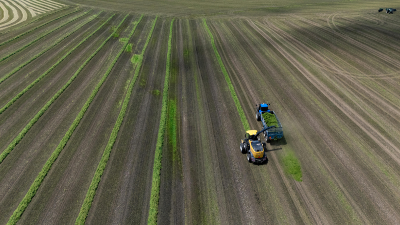 Para Aldo Vendramin, dominar técnicas de pós-colheita é o segredo para transformar safra em valor real no mercado global.