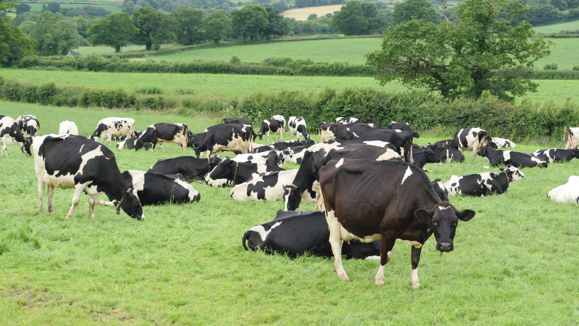 As mudanças climáticas já impactam a produção pecuária, e João Eustáquio De Almeida Junior explica os efeitos diretos sobre pastagens e rebanhos.